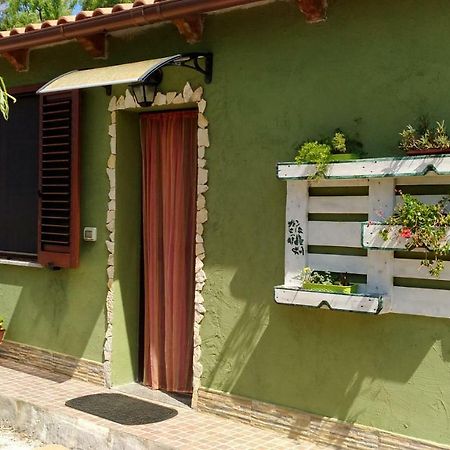 Appartamento Il Salice Casa Minnina Eksteriør bilde